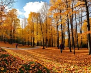 Herbstspaziergänge: Die schönsten Orte