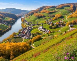 Luxemburg entdecken: Wanderungen entlang der Mosel und durch die Ardennen