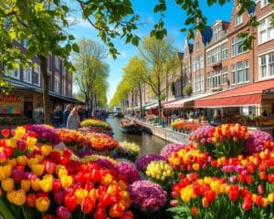 Amsterdam: Welche Blumenmärkte sind besonders farbenfroh?