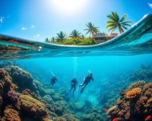 Honolulu: Welche Buchten sind perfekt zum Tauchen?
