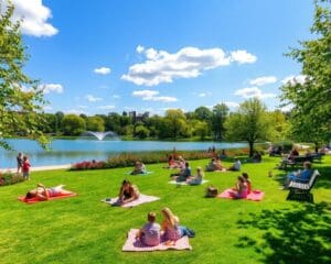 München: Welche Parks sind ideal für ein Picknick?