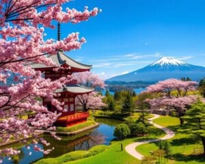 Unvergessliche Japan-Reise: Kultur, Natur und Tradition erleben