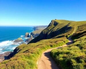 Ballintoy: Wo erlebst du die besten Küstenwanderungen?