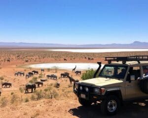 Etosha National Park: Perfekt für Selbstfahrer-Safaris