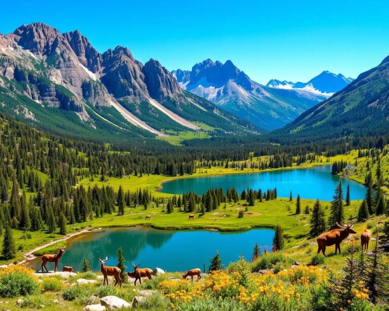 Jackson: Welche Nationalparks sind ein Muss?