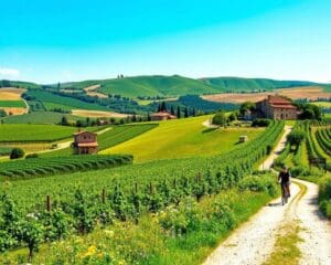 Marken: Wo kannst du am besten Radfahren?