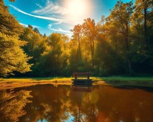 Wie wirkt sich Natur auf deine innere Ruhe aus?