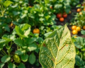 Wie erkennt man Nährstoffmangel sicher?