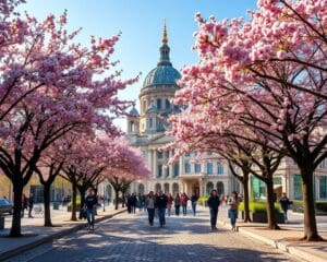 Wie genießt man Wien im Frühling?
