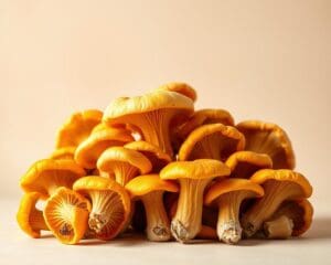 Wie gesund sind Pfifferlinge?